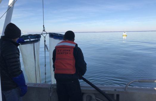 image for A Chilly Day On the Sound